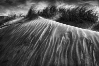 Dune Shapes at Silver Strand