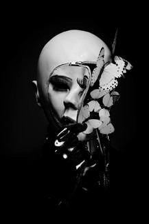 A.C.A.B. - All children are butterflies A.C.A.B. - All children are butterflies