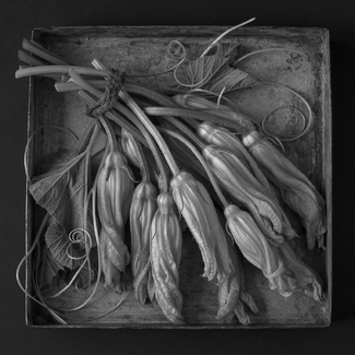 Squash Blossoms Squash Blossoms