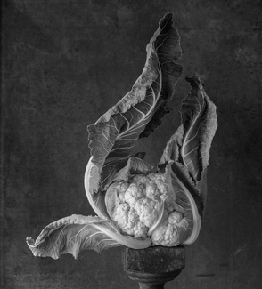 Cauliflower #1 Cauliflower #1
