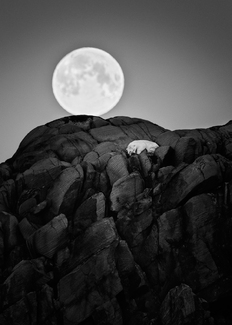 Good Night Sleep Tight Good Night Sleep Tight