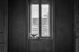 Untitled (2) Untitled (2)