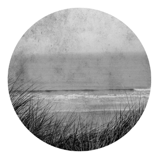Paramnesie #14 Paramnesie #14