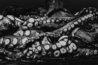 Hokusai's Dinner, No. 2 Hokusai's Dinner, No. 2