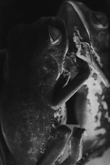 Basilisk No. 1 Basilisk No. 1