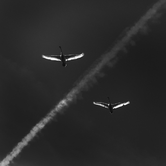 Air Traffic Air Traffic