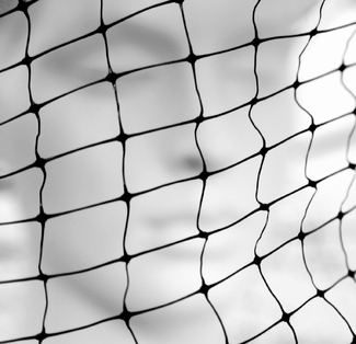 Caught in the net Caught in the net