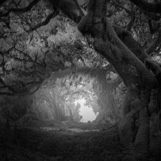 Time tunnel Time tunnel