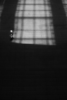 The World Outside The Window The World Outside The Window