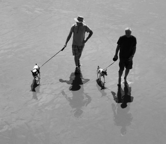 Shadows and Reflections Stacked Shadows and Reflections Stacked