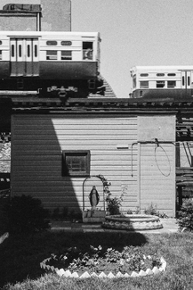 El Madonna El Madonna