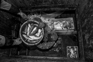 Buckets To The Cellar Buckets To The Cellar