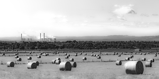 Carbon Neutral Carbon Neutral