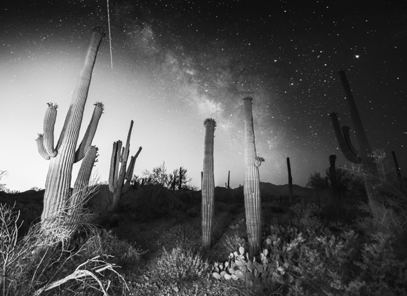 Milky Way over Saguaro National Park