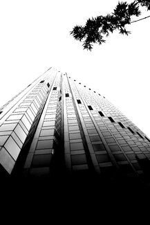 Bank of America Bank of America