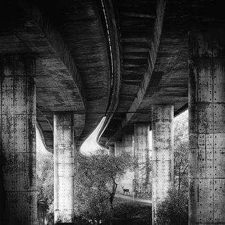 Urban Wildlife Corridor Urban Wildlife Corridor