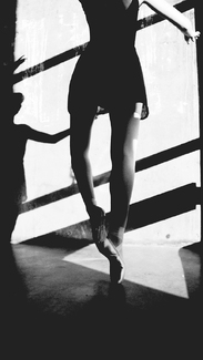 Ballet Parametrics Ballet Parametrics