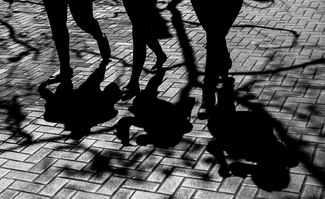 Sidewalk Shadows Sidewalk Shadows