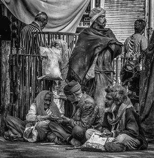 Life on a Jaipur Street Life on a Jaipur Street