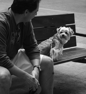 Mans Best Friend Mans Best Friend