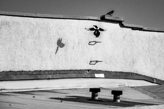 Two of a Kind Two of a Kind