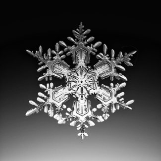 A snow crystal