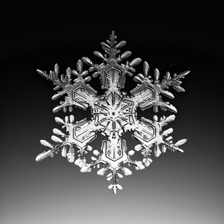 A snow crystal A snow crystal