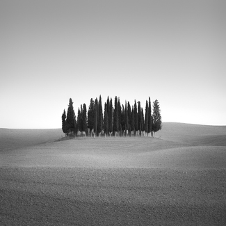 Strength In Numbers Strength In Numbers