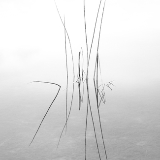 Symmetry of Silence 1 Symmetry of Silence 1