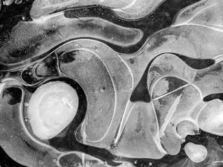 Ice Curves Ice Curves