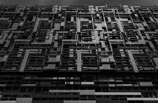 The Maze Track The Maze Track