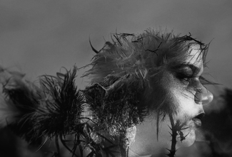 A Composition of Annie A Composition of Annie