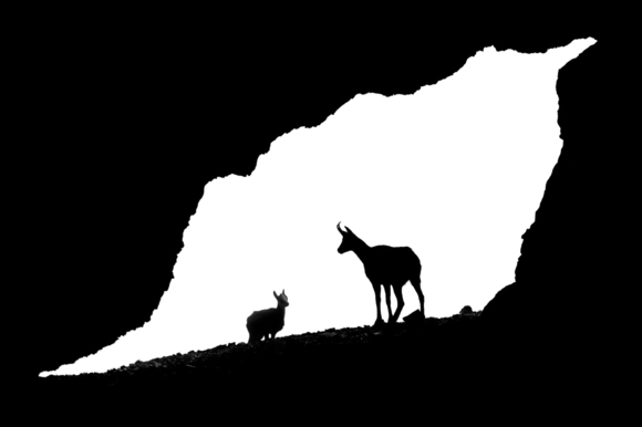 Hulik-Tomas_Chamois in cave