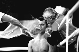 Boxer in his Corner Boxer in his Corner