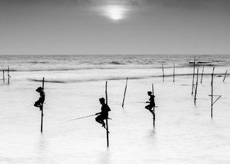 Stilt Fishermen at sunset