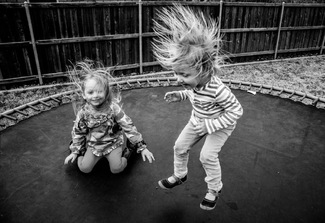 The Backyard Diaries The Backyard Diaries