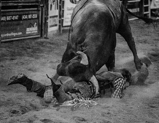 Face Plant Face Plant