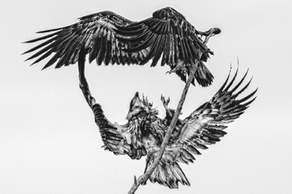 Aerial Abstract Aerial Abstract