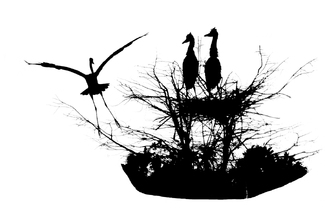 Coming Home Coming Home