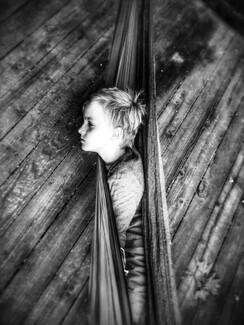 In The Hammock In The Hammock