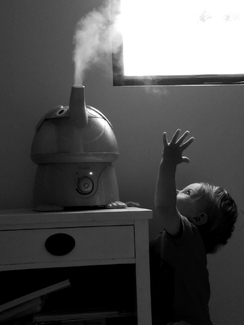The Humidifier The Humidifier