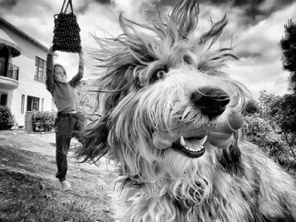 Charley thinks Bow-Wow Charley thinks Bow-Wow