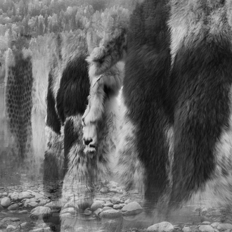 Once We Were Here #1 Once We Were Here #1