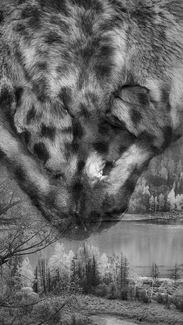 Once We Were Here #5 Once We Were Here #5