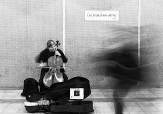 Violoncelliste Violoncelliste