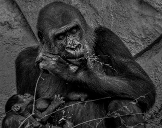 Mother And Child Mother And Child