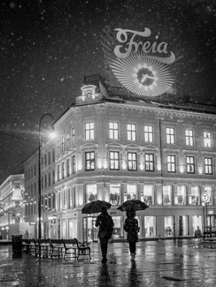 Snowflakes and Umbrellas Snowflakes and Umbrellas