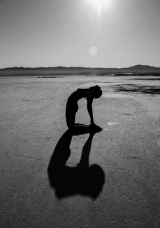 Desert Shadow Desert Shadow