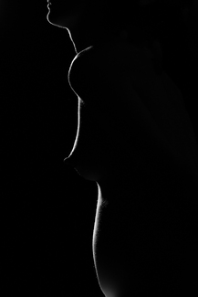 Fertility Suite No. 1 Fertility Suite No. 1