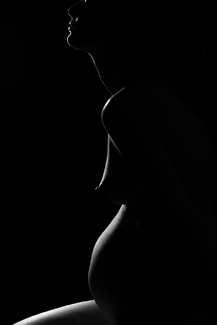 Fertility Suite No. 2 Fertility Suite No. 2